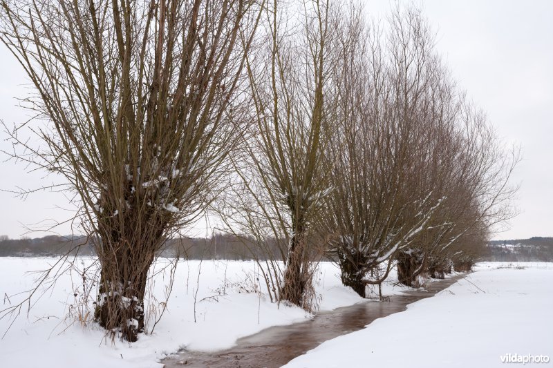 Sneeuw in de Doode Bemde