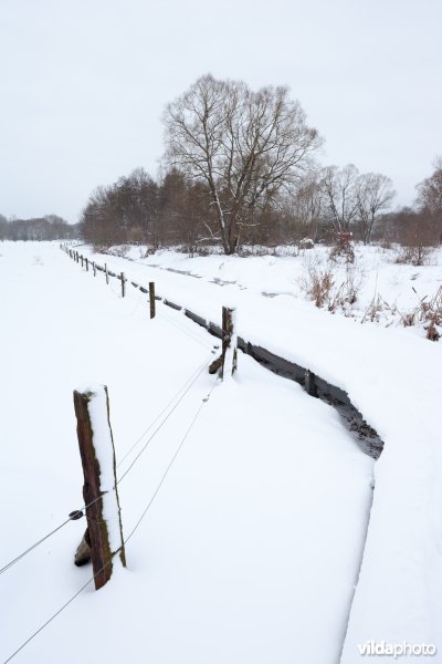 Besneeuwd plankenpad