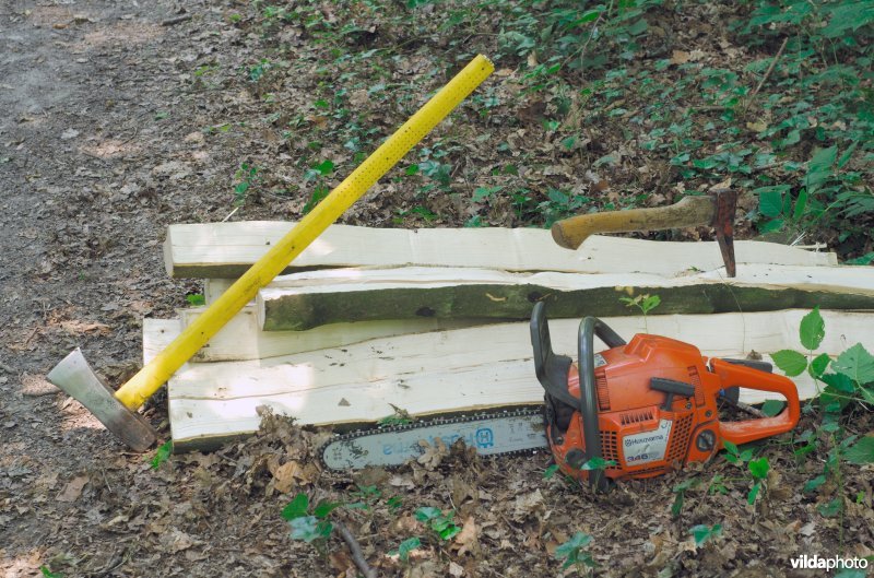 Boswerktuigen en brandhout