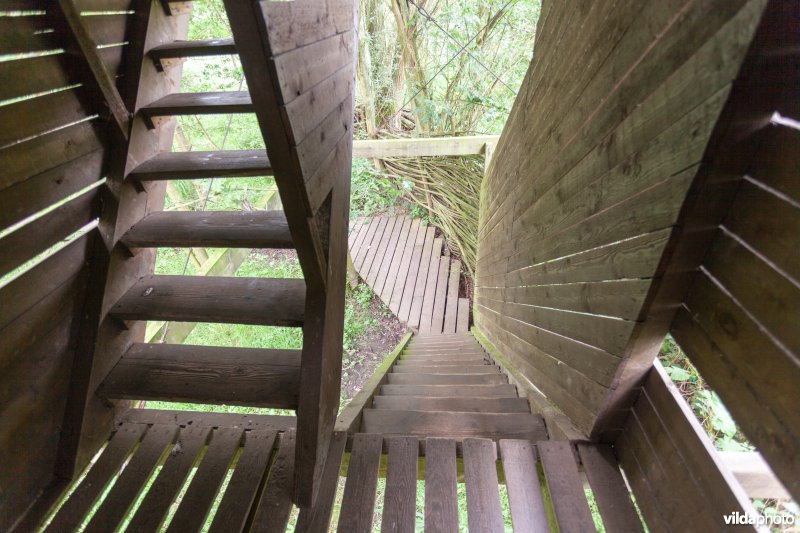 Trappen in de uitkijktoren