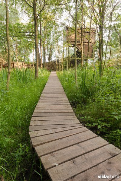 Plankenpad naar de uitkijktoren