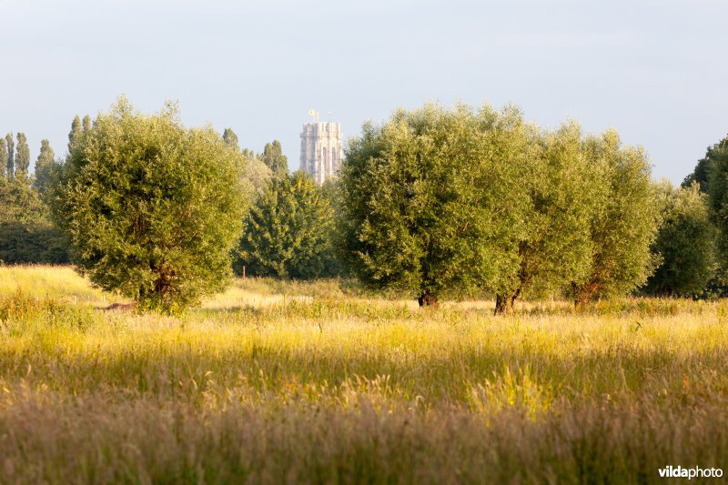 Sint-Romboutstoren