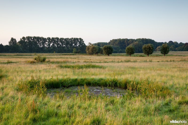 Bomkrater in het Mechels broek