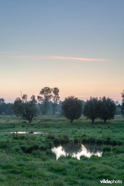 Bomkrater in het Mechels broek