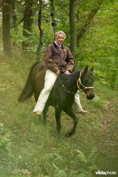 Ruiter en paard 