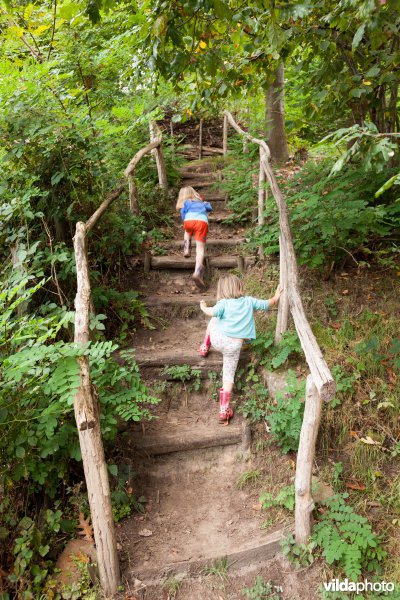 De Wijngaardberg beklimmen