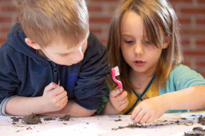 Kinderen pluizen braakballen