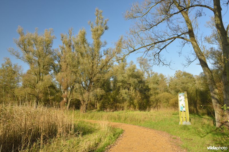 Hobokense polder