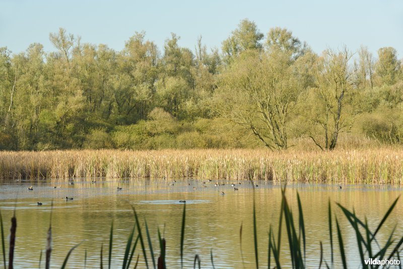 Hobokense polder