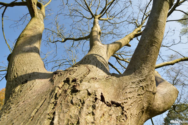 Natuurreservaat De Bourgoyen