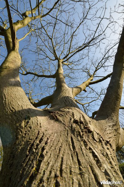 Natuurreservaat De Bourgoyen