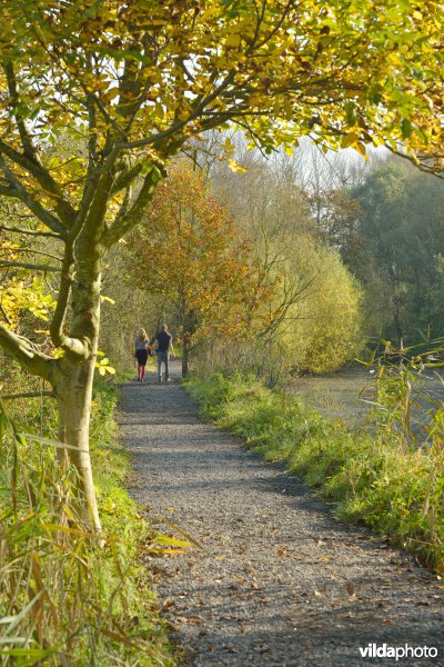 Natuurreservaat De Bourgoyen