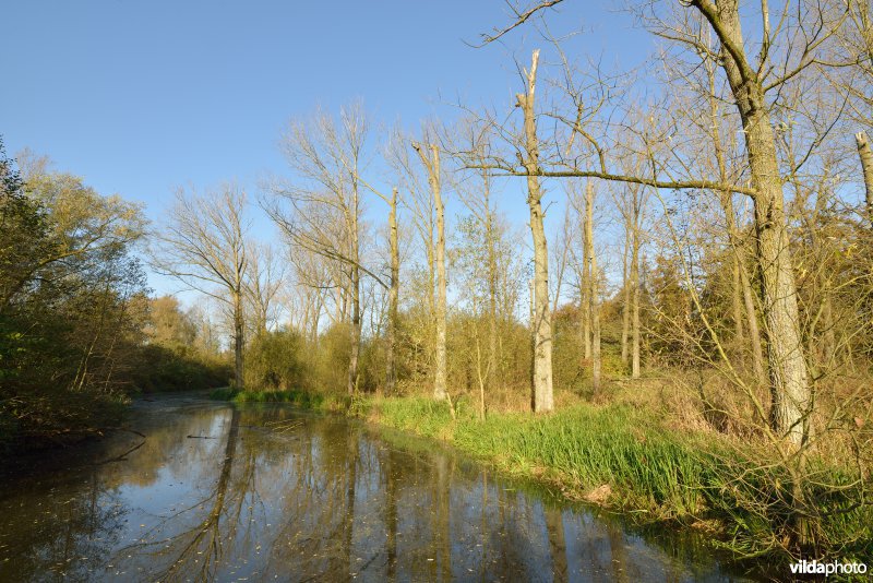 Natuurreservaat De Bourgoyen