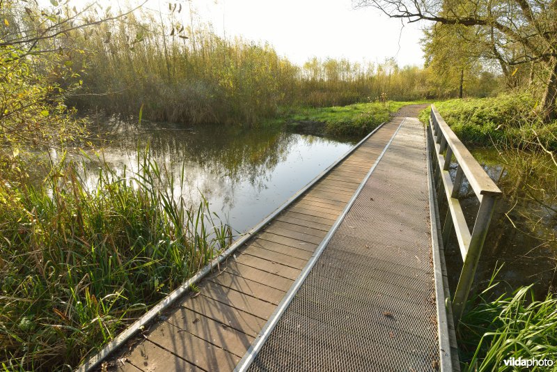 Natuurreservaat De Bourgoyen