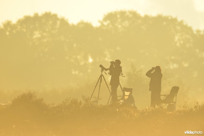 Natuurreservaat De Maten