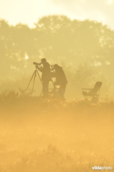 Natuurreservaat De Maten