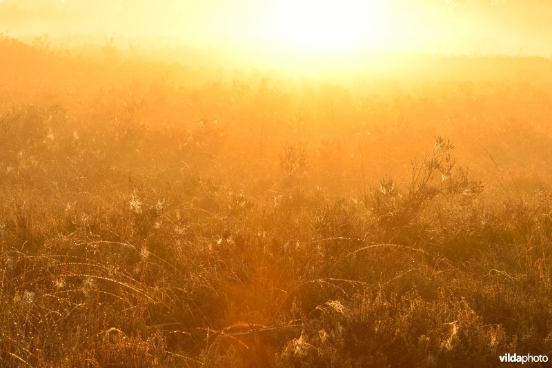 Natuurreservaat De Maten