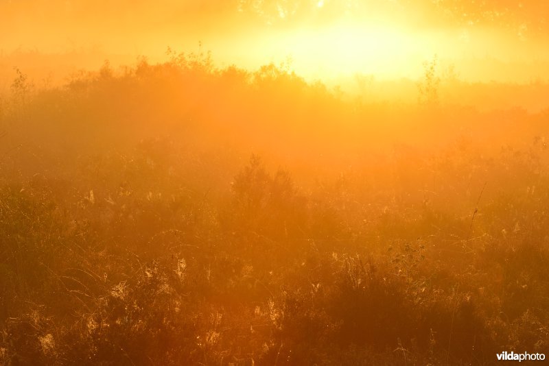 Natuurreservaat De Maten