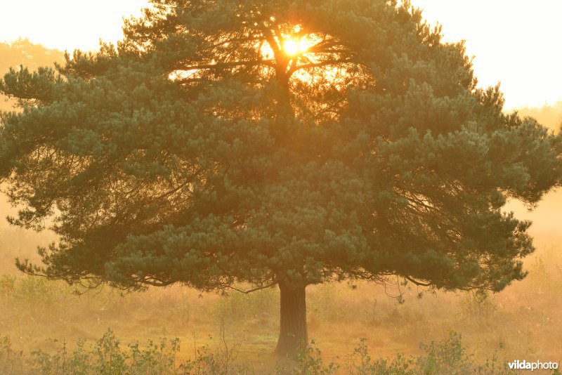 Natuurreservaat De Maten