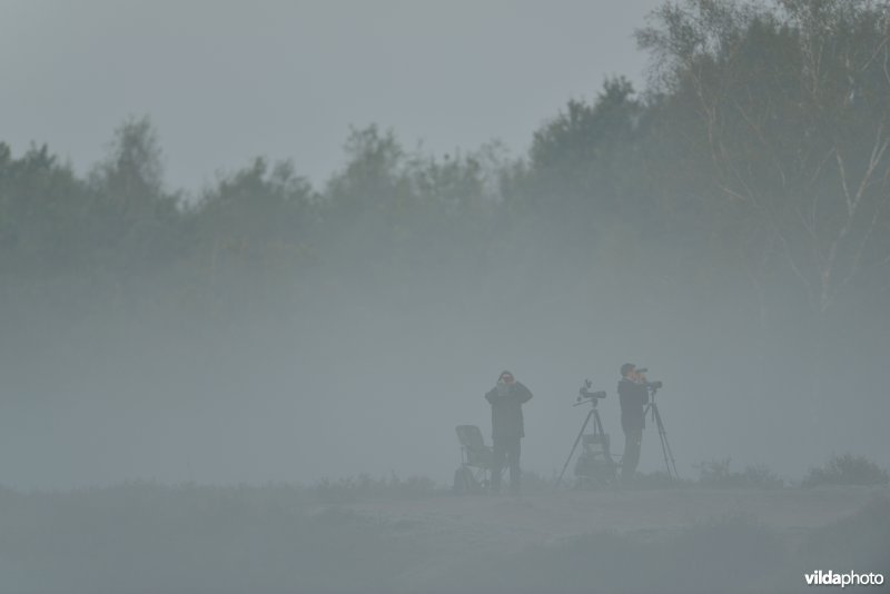 Natuurreservaat De Maten