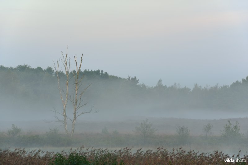 Natuurreservaat De Maten