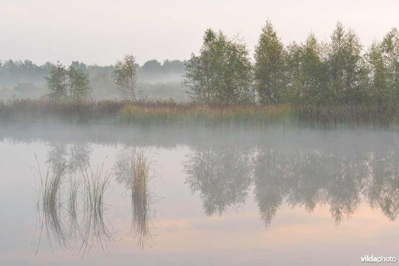 Natuurreservaat De Maten