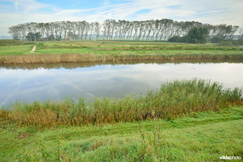 Stadswallen van Damme