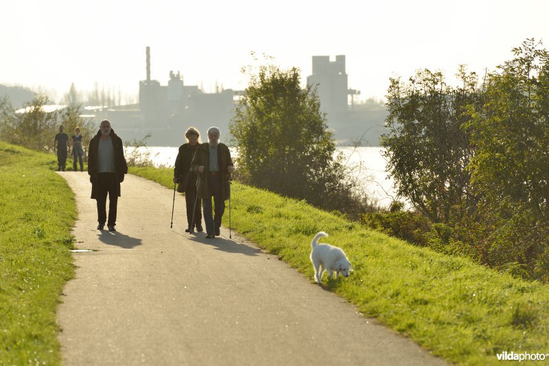 Hobokense polder