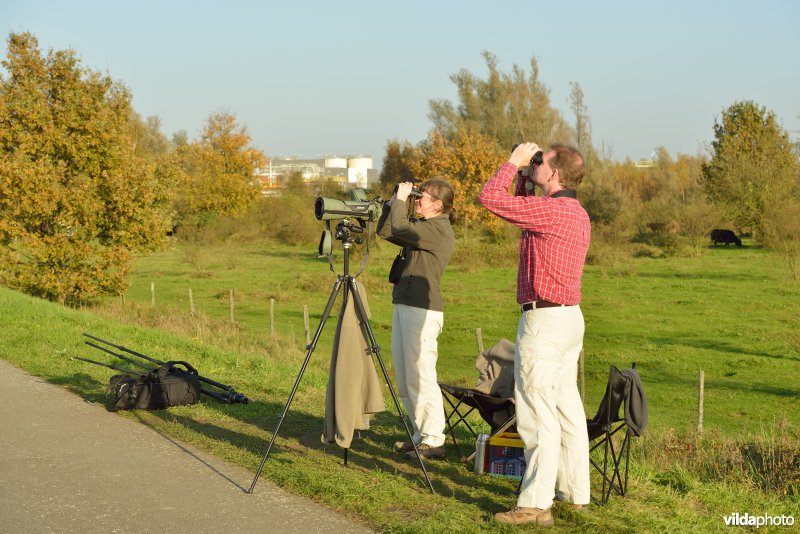 Hobokense polder