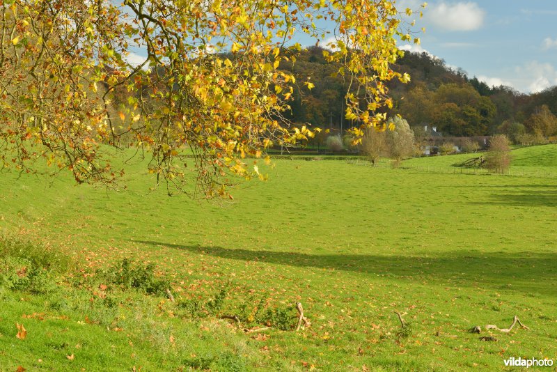 Altenbroek