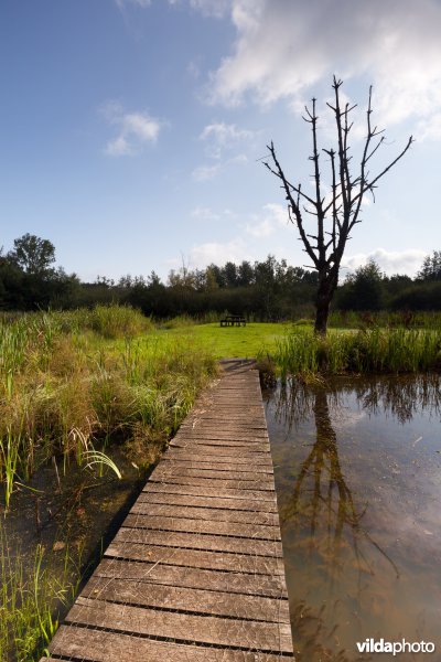 Plankenpad aan het picknickeiland